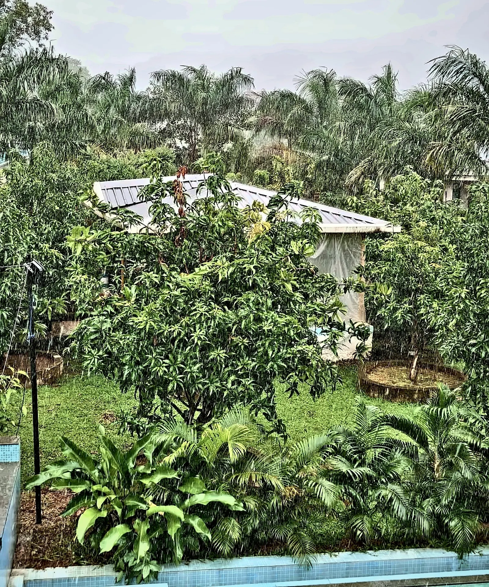 The orchard, Aamantara Villa, Karjat